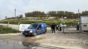Yalova'daki Barınakta Köpek Ölümleri Soruşturması Başlatıldı