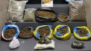 İzmir'de Büyük Uyuşturucu Operasyonu: 16 Kilo Esrar Ele Geçirildi