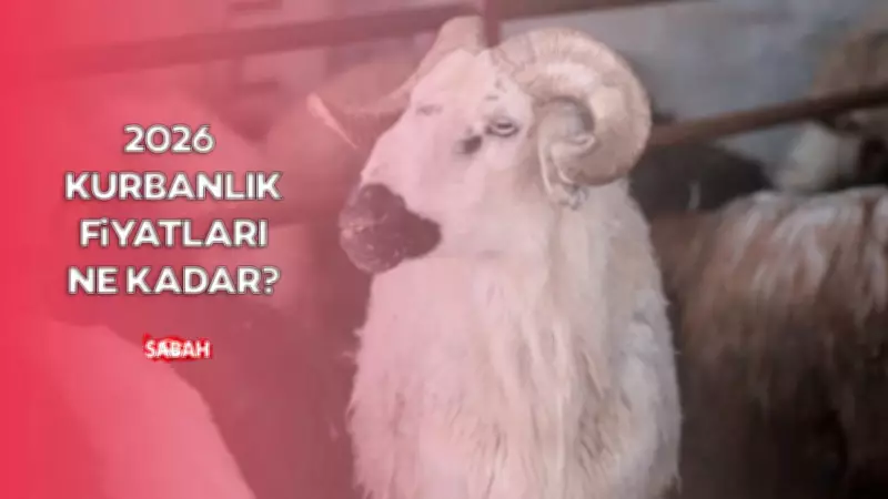 2026 Kurbanlık Fiyatları: Büyükbaş ve Küçükbaş Ücretleri İl İl Açıklandı