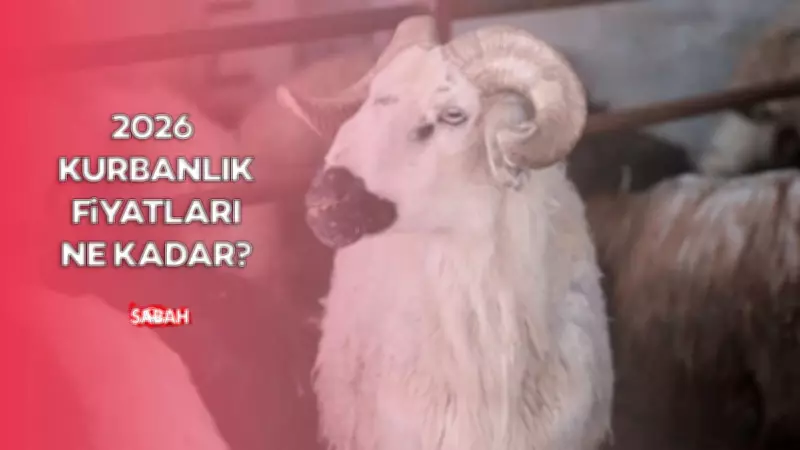 2026 Kurbanlık Fiyatları: Büyükbaş ve Küçükbaş Güncel Rakamlar