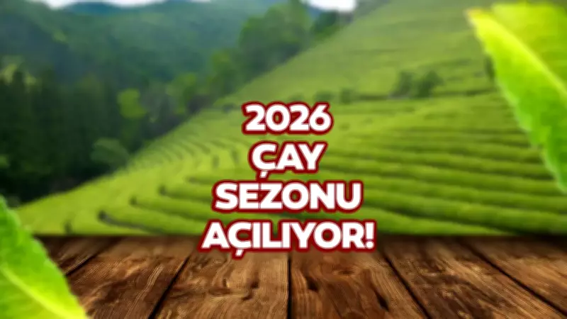 2026 Yaş Çay Taban Ücreti Ne Zaman Açıklanacak?