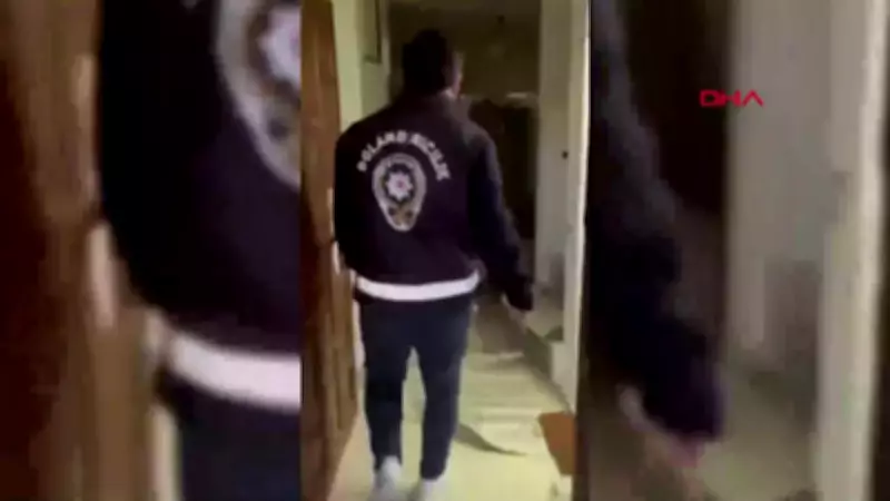 24 ilde dolandırıcılık operasyonu: 133 tutuklama, 224 gözaltı