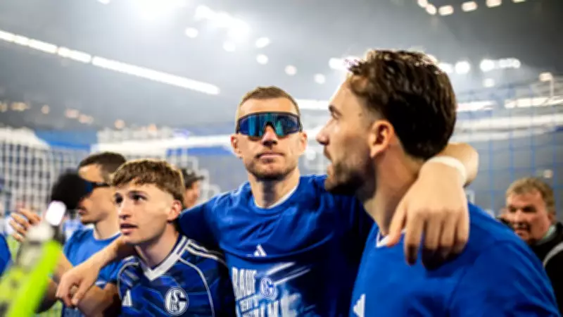 40 yaşındaki Edin Dzeko'nun geleceği belli oldu! Schalke'de kalıyor