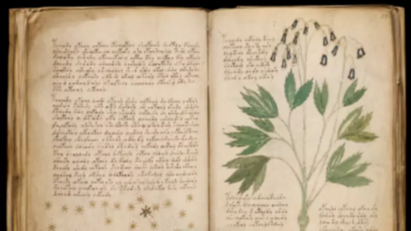 600 Yıllık Çözülemeyen Voynich El Yazması'nın Gizemi Derinleşiyor