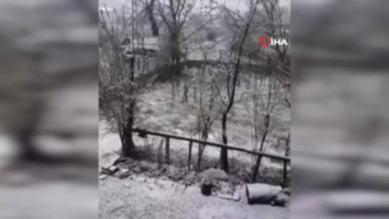 Adana'da Mayıs Ayında Kar Sürprizi: Kiraz Çiçekleri Beyaz Örtüyle Kaplandı