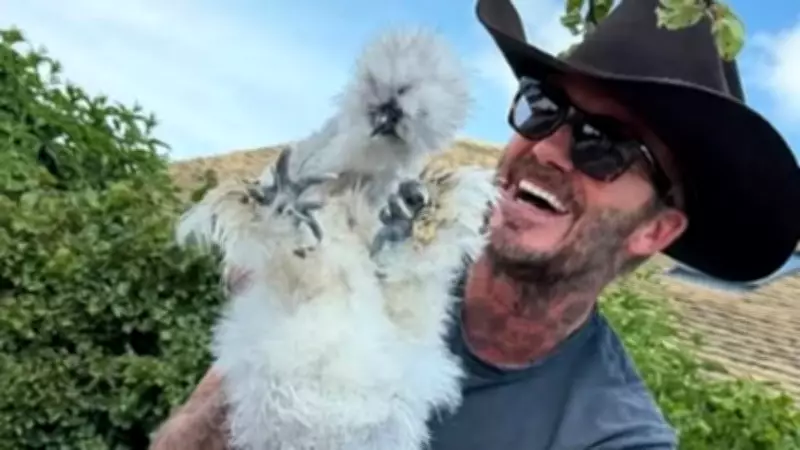 Ailesinden David Beckham'a doğum gününde tavuk hediyesi