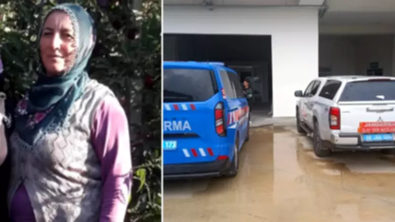 Aksaray'da kavak ağacının altında kalan kadın hayatını kaybetti