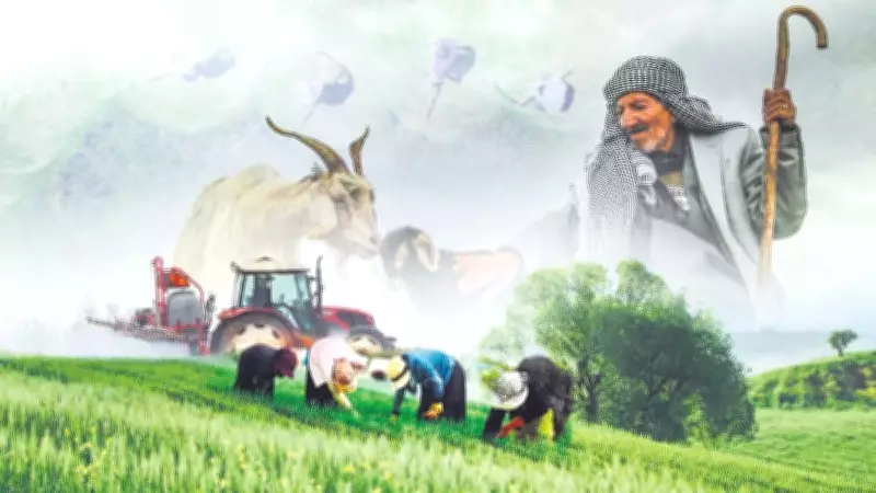 Alın Terinin Bereketi: Türkiye Yüzyılının Temeli