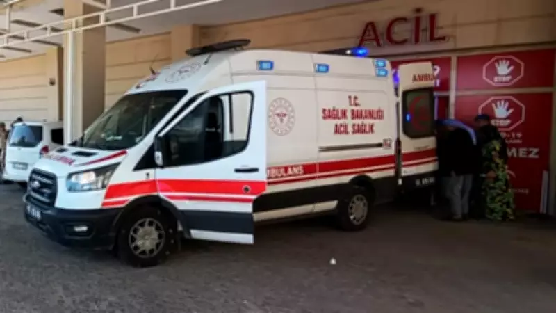 Şanlıurfa'da yılanı vururken 5 kişiyi yaraladı
