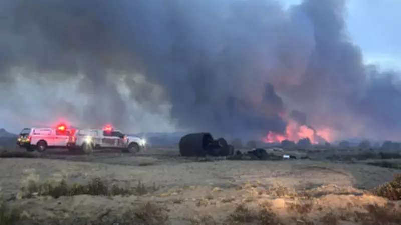 Arizona'da yangın faciası: 2 bin 200 dönüm alan kül oldu