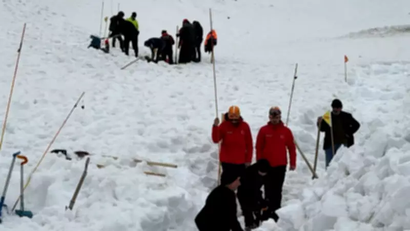 Artvin'de çığ altında kaybolan çoban Bülent Gezer için arama yeniden başladı