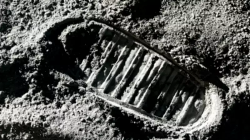 Ay tozuyla beslenen hamamböcekleri: Apollo 11'in garip deneyi