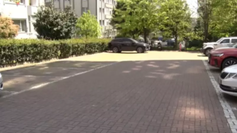 Beylikdüzü'nde başıboş köpek dehşeti: Saldırı anı kamerada