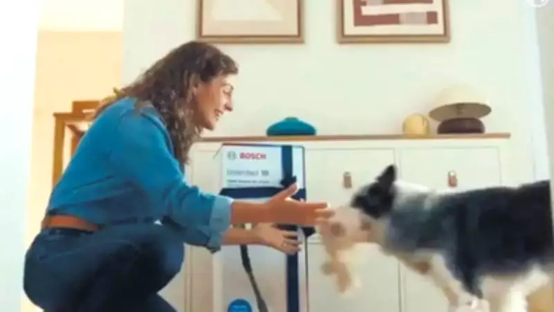 Bosch'un Anneler Günü Reklamı Skandalı: Köpek Vurgusu Tepki Çekti