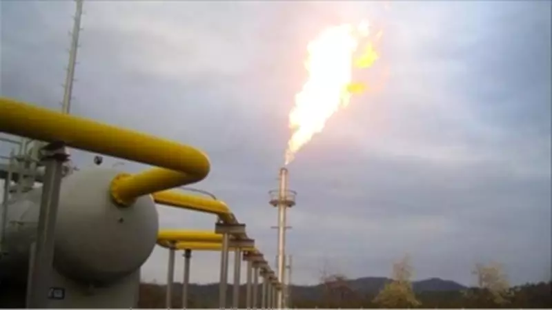 BOTAŞ ile İtalyan Edison arasında doğalgaz ve LNG işbirliği mutabakat zaptı