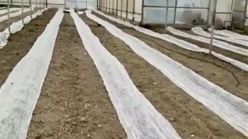 Burdur'da zirai don uyarısı: Seracılar tülle koruma altına aldı
