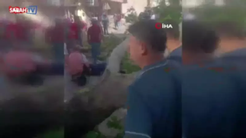 Bursa'da Seyir Halindeki Araçların Üzerine Ağaç Devrildi: 1 Yaralı