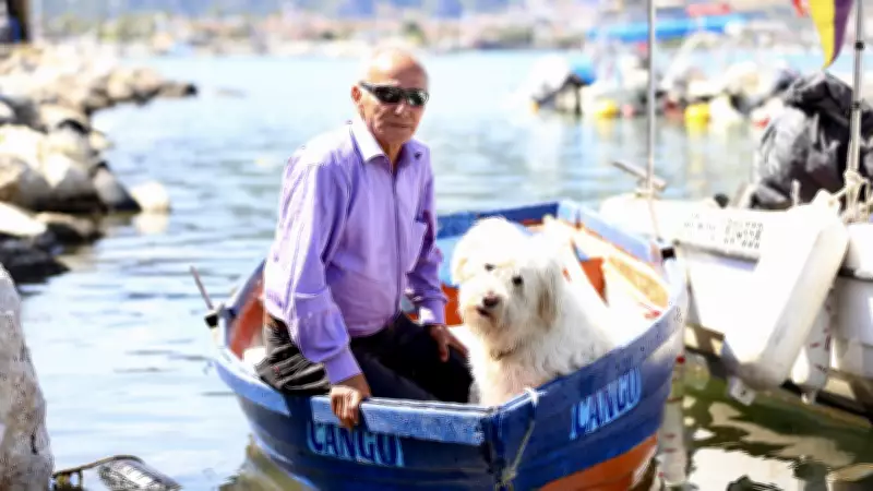 Can dostu Cango ile denize açılıyor: Her söylediğimi anlıyor
