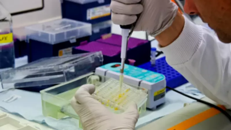 CDC, Hantavirüs Vakalarını 3. Seviye Acil Durum Koduyla Takibe Aldı