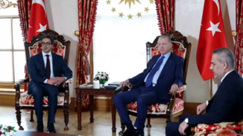 Cumhurbaşkanı Erdoğan, BAE Devlet Başkanı Yardımcısı Mansur bin Zayid Al Nahyan'ı Kabul Etti