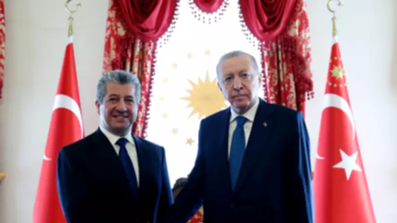 Cumhurbaşkanı Erdoğan, IKBY Başbakanı Mesrur Barzani ile Görüştü