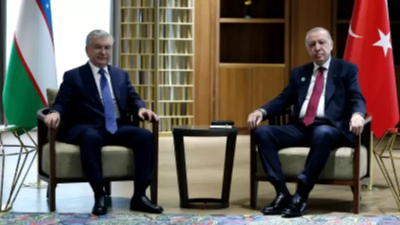 Cumhurbaşkanı Erdoğan, Özbekistanlı mevkidaşı Mirziyoyev ile görüştü