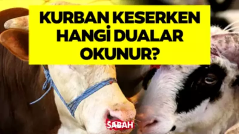 Diyanet Açıkladı: Kurban Keserken Hangi Dualar Okunur?