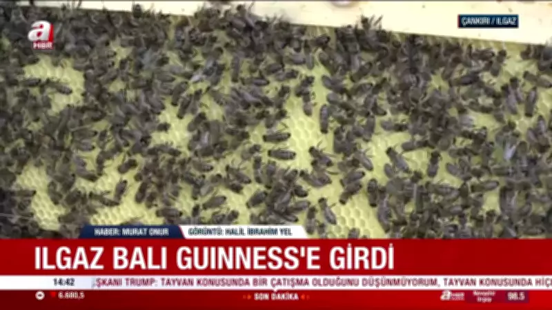 Dünyanın en pahalı balı Guinness Rekorlar Kitabı'nda: 1 kilosu 11 bin 118 euro