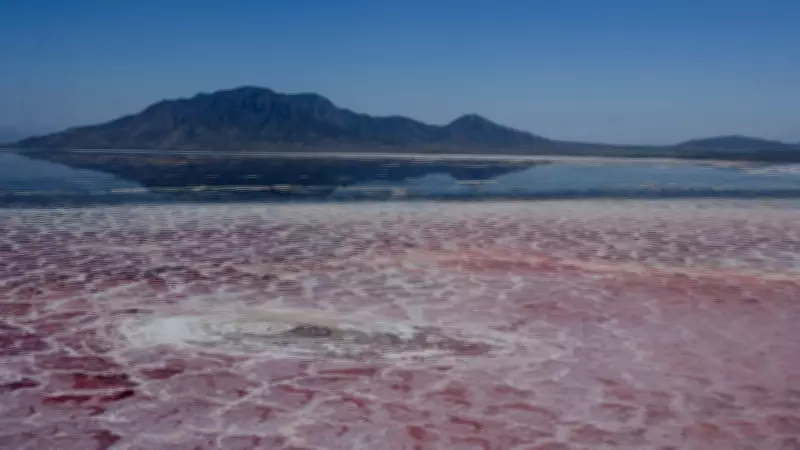 Dünyanın en zehirli gölü: Natron Gölü canlıları taşa çeviriyor