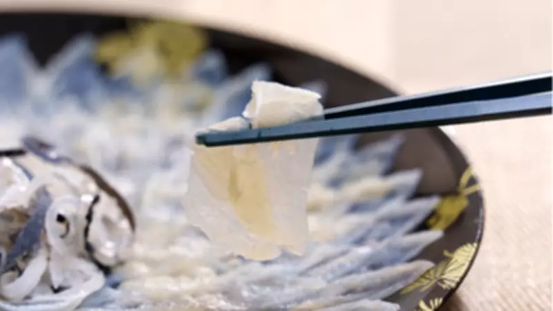 Doğru Pişirilmezse Ölüme Yol Açıyor! Dünyanın En Tehlikeli Lezzeti: Fugu Balığı
