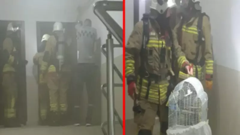 Düzce'de öğrenci apartında yangın: 1 yaralı, muhabbet kuşu kurtarıldı