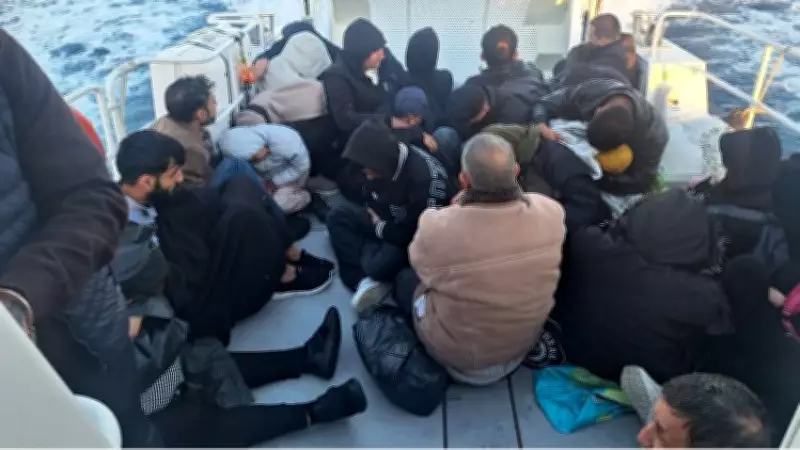 Edirne ve Kırklareli'nde 14 düzensiz göçmen yakalandı