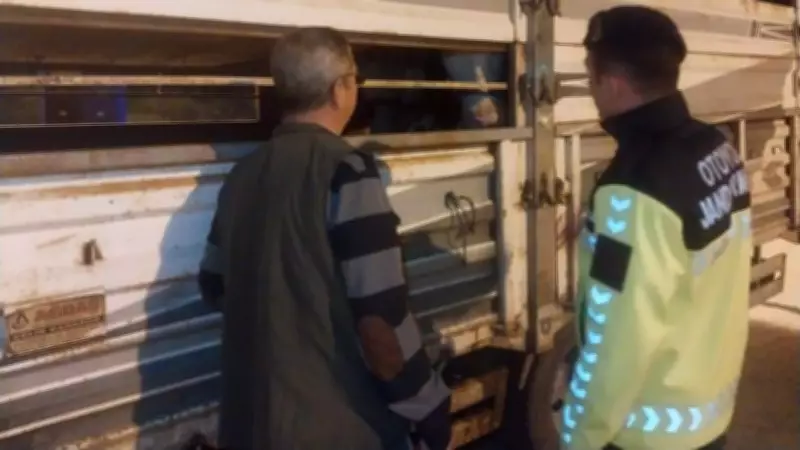 Edirne'de Belgesiz Hayvan Sevkine 5996 Sayılı Kanun Kapsamında Ceza