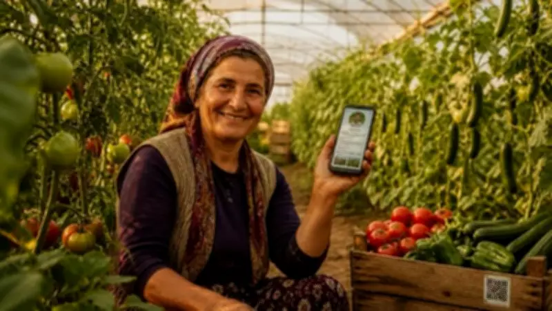 Edirne'de sera üreticilerine ücretsiz dijital destek programı başlatıldı
