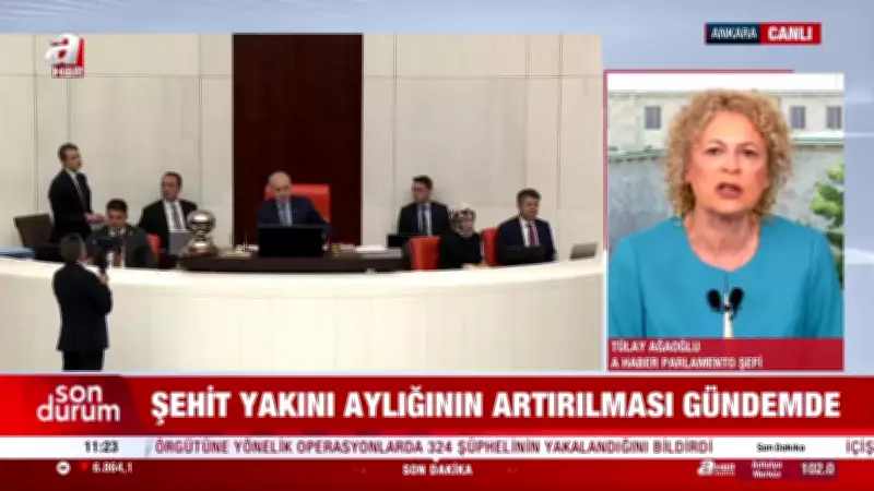 Şehit yakını aylıklarında artış Meclis gündeminde: Yeni düzenleme yolda
