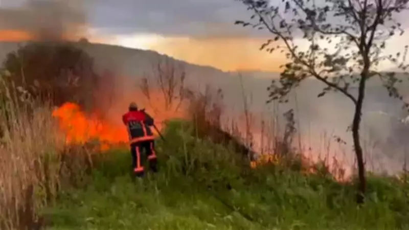 Elazığ'da otluk alanda yangın paniği