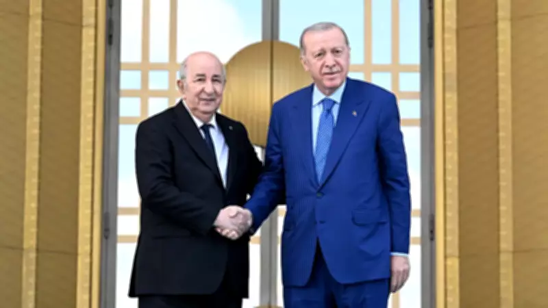 Erdoğan: Bölgemizin güvenlik sorunu İsrail'dir, Cezayir ile 10 milyar dolar ticaret hedefi