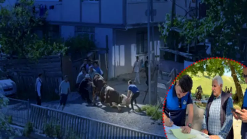 Esenyurt'ta kaçak kurban kesenlere ceza yağdı