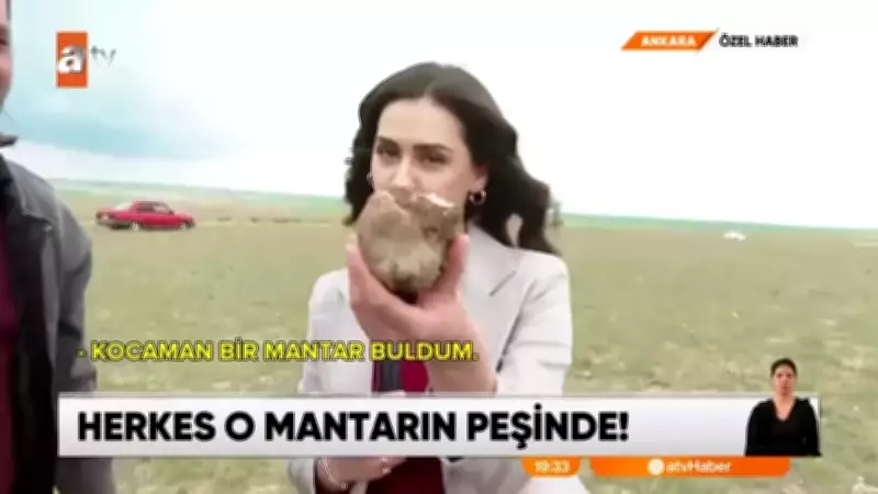 Ev, araba, arsa aldıran mantar: Kilosu 2 bin lira!