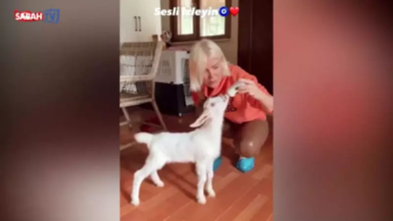 Ferhat Göçer'in evde 30 kedi ve keçi sözleri gündem oldu!