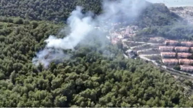 Fethiye'de orman yangını 1 saatte kontrol altına alındı