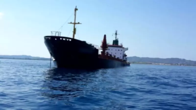 Gemi acentelerine yeni düzenleme: Yetki belgesi ve sermaye şartı zorunlu