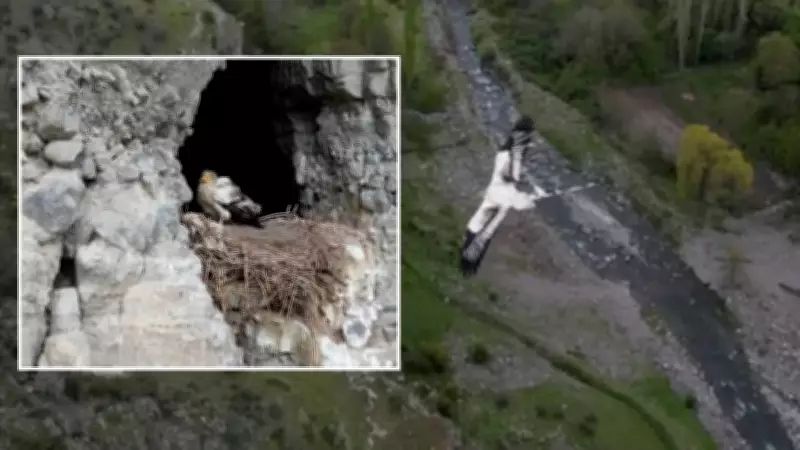 Gökyüzünde Süzülürken Drone ile Görüntüledi