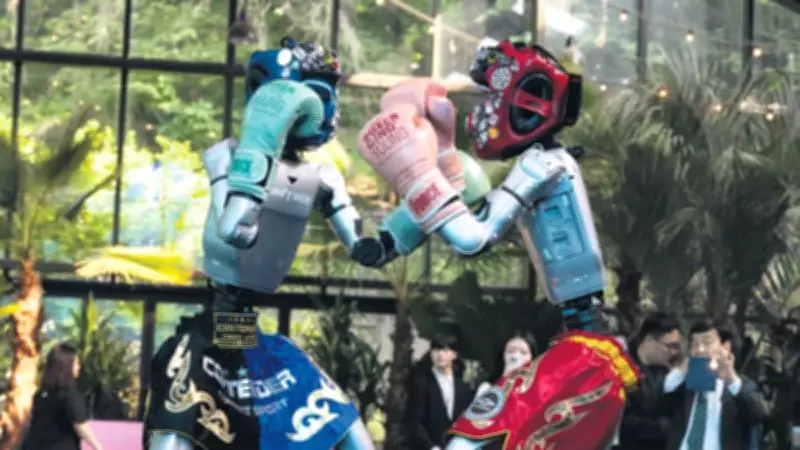 Güney Kore'de Robotların Boks Maçı Büyük İlgi Gördü