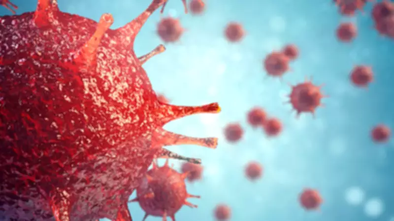 Hantavirüs Nedir, Belirtileri Neler? 2026 Bulaşı ve Korunma Yolları