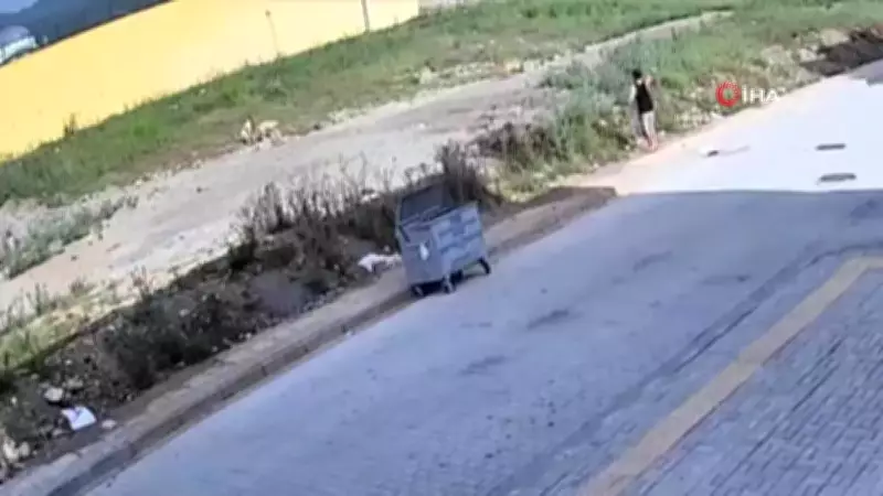 Hatay'da 7 yaşındaki çocuğa sokak köpeklerinin saldırısı kamerada
