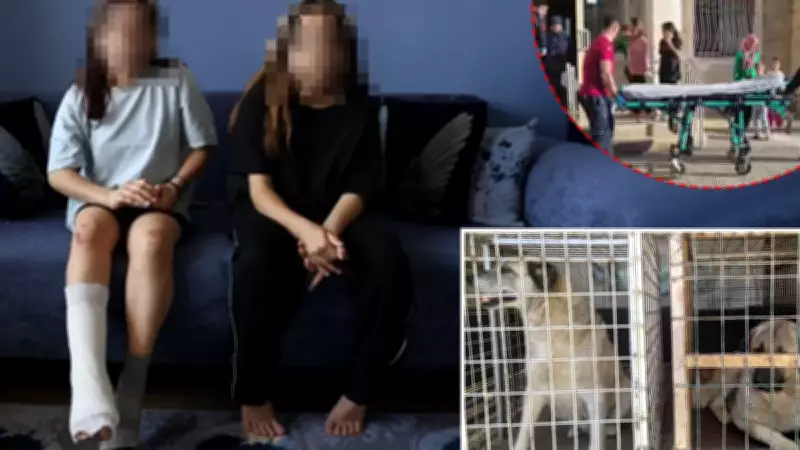 Hatay'da köpek saldırısı: İki kız kardeş korku dolu anlar yaşadı