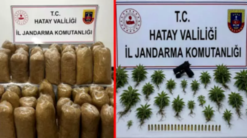 Hatay'da nefes kesen operasyon: 71 gözaltı, çok sayıda uyuşturucu ve silah ele geçirildi