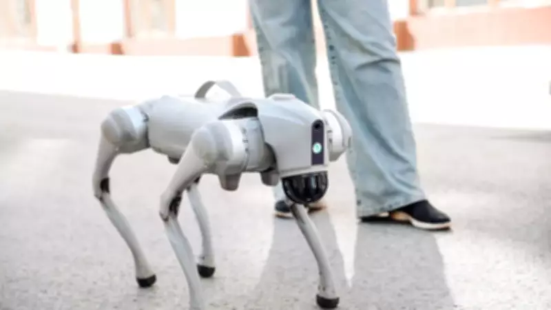 Çin malı robot köpek casus çıktı: Verileri gizlice Çin'e gönderiyor!