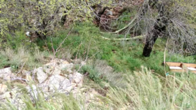 Isparta'da Tepeden Düşen Kadın Hayatını Kaybetti, Arkadaşı Yaralandı